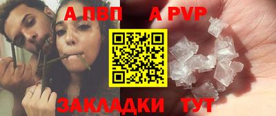 ПСИЛОЦИБИНОВЫЕ ГРИБЫ Гатчина