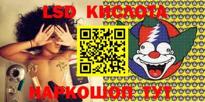 ПСИЛОЦИБИНОВЫЕ ГРИБЫ Гатчина