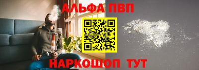 индика Гай