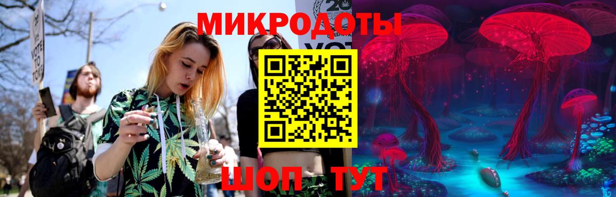 Галлюциногенные грибы Psilocybe Муравленко